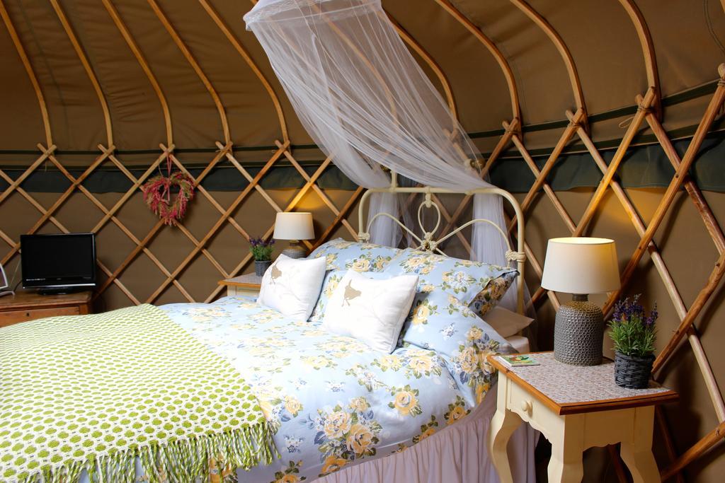 Sunbank Accommodation Llangollen Ngoại thất bức ảnh