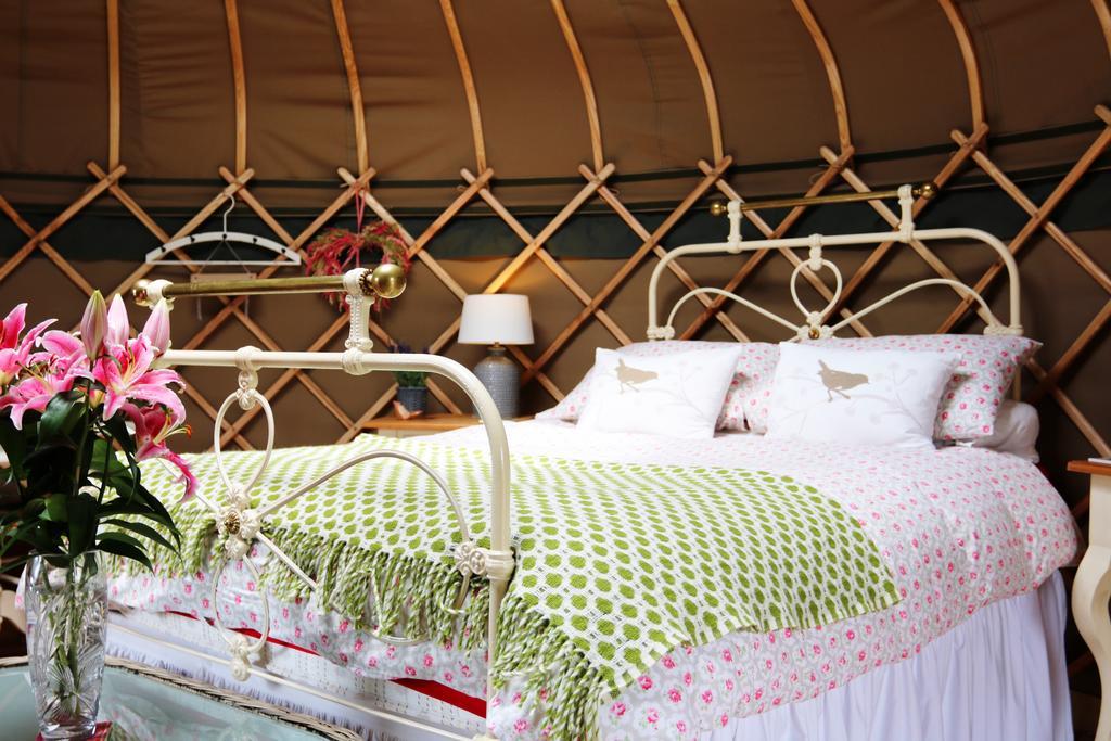 Sunbank Accommodation Llangollen Ngoại thất bức ảnh